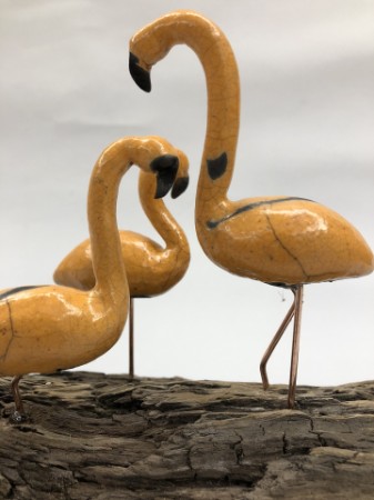 Flamingos